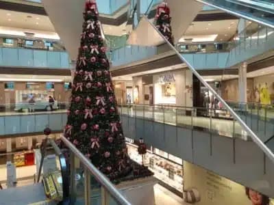 Imagem do post de destaque