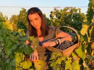 Imagem card com fundo