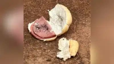 Imagem card com fundo