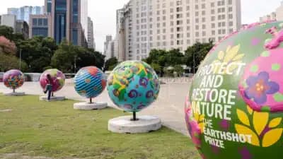 Imagem card com fundo