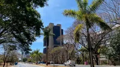 Imagem card com fundo