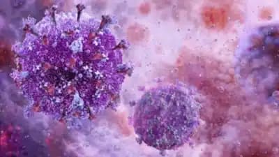 Imagem card com fundo