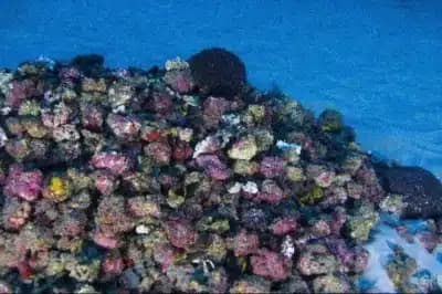 Imagem do post de destaque