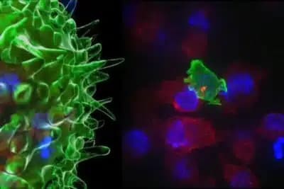 Imagem card com fundo