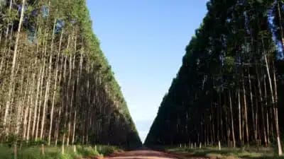 Imagem card com fundo