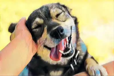 Imagem card com fundo